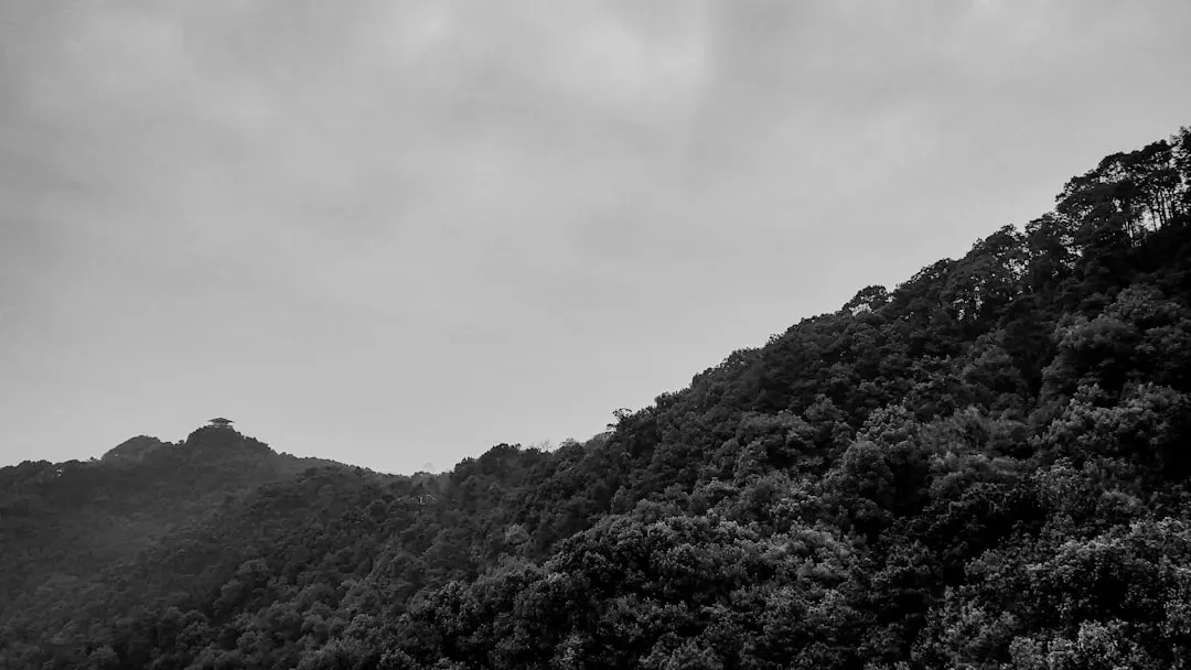 2025年积分兑换系统技术架构升级与应用趋势分析