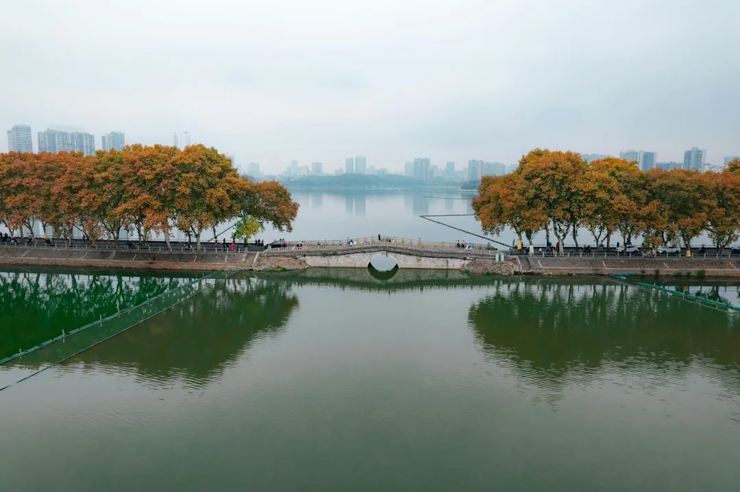 企业会员积分兑换体系搭建方案与供应商选型指南