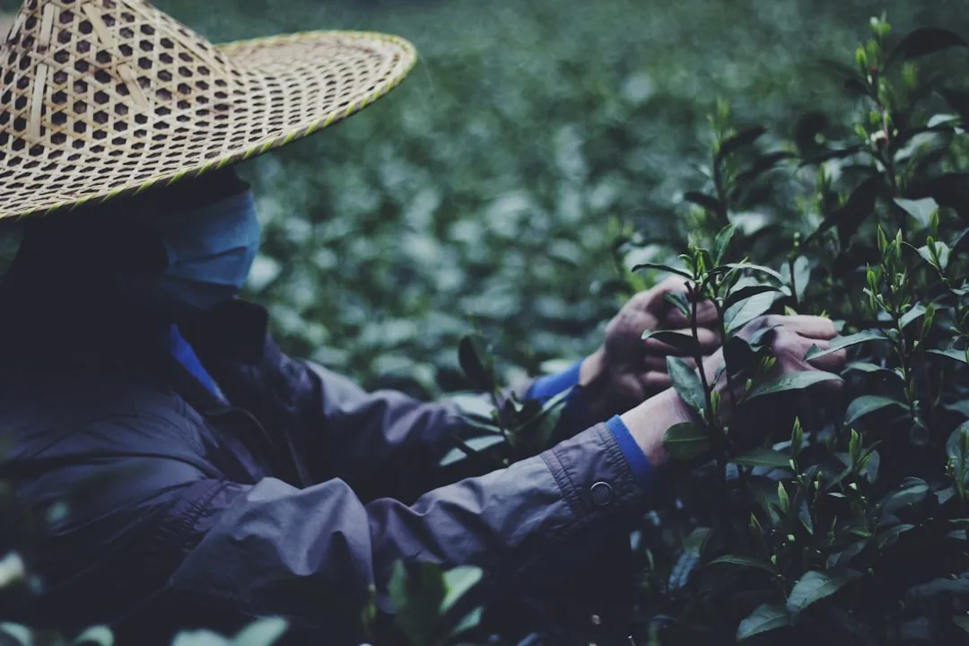 企业会员积分兑换方案设计：从留存到复购的闭环策略